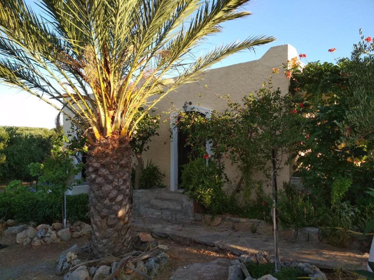 Porto Heli Apartments Palékastro Eksteriør bilde