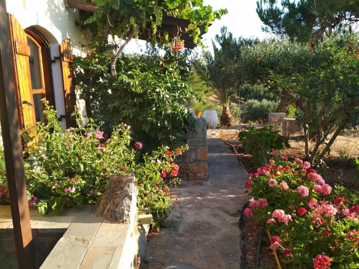 Porto Heli Apartments Palékastro Eksteriør bilde
