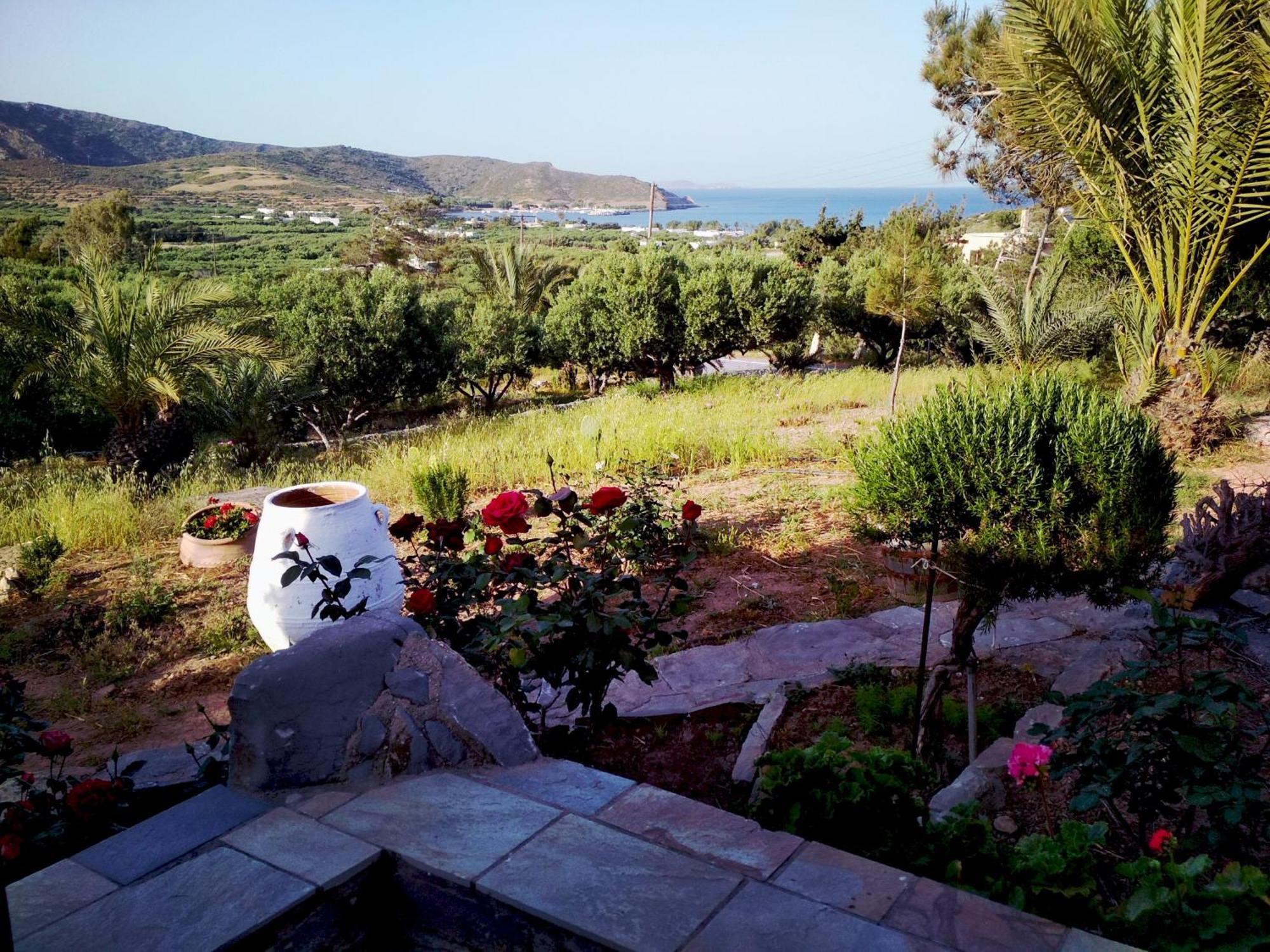 Porto Heli Apartments Palékastro Eksteriør bilde