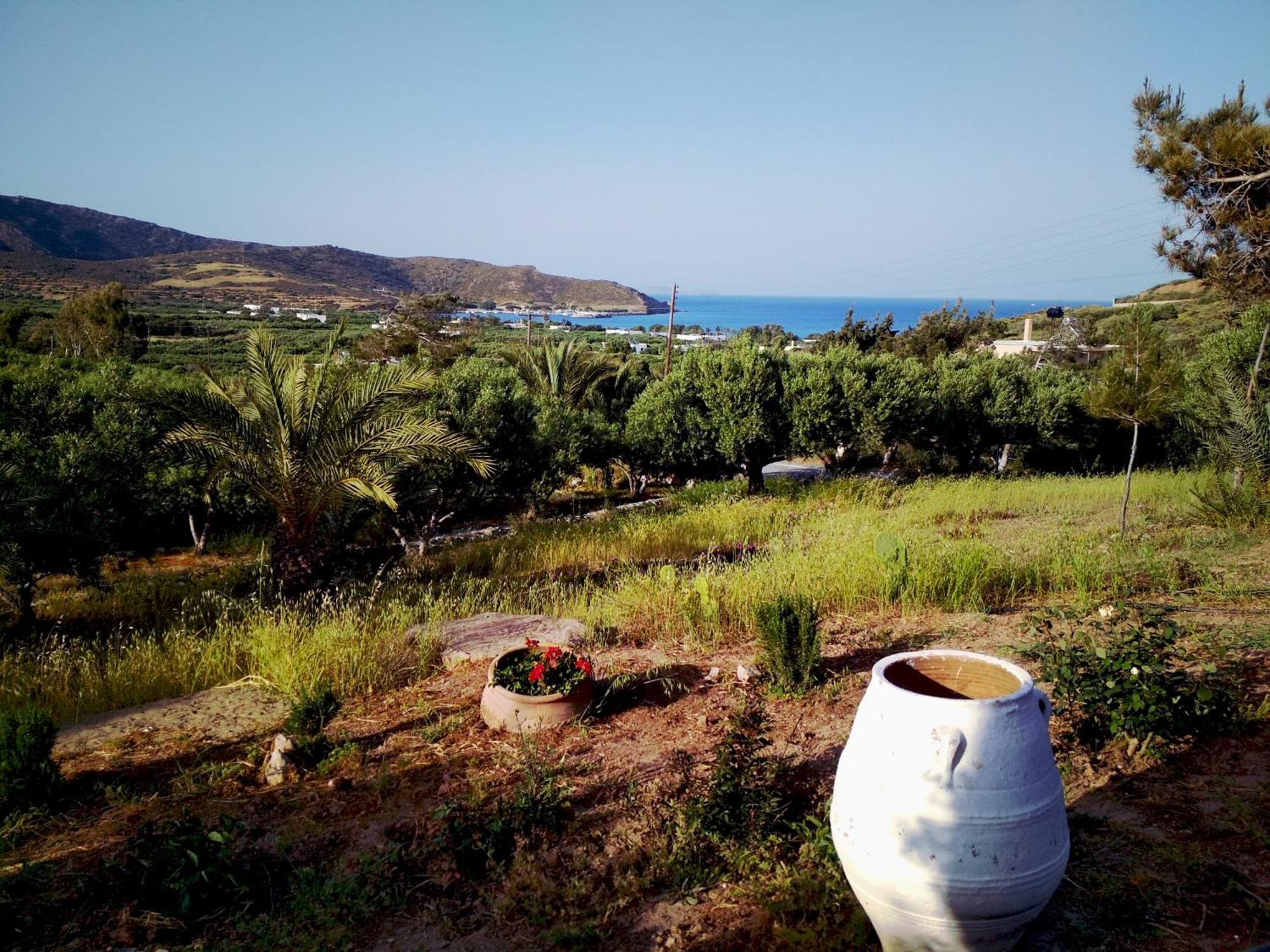 Porto Heli Apartments Palékastro Eksteriør bilde