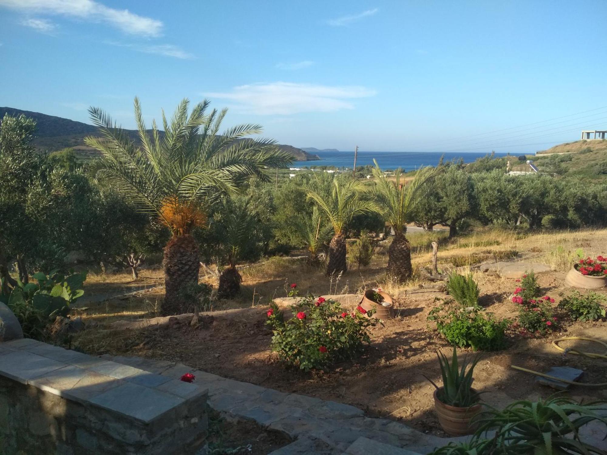 Porto Heli Apartments Palékastro Eksteriør bilde