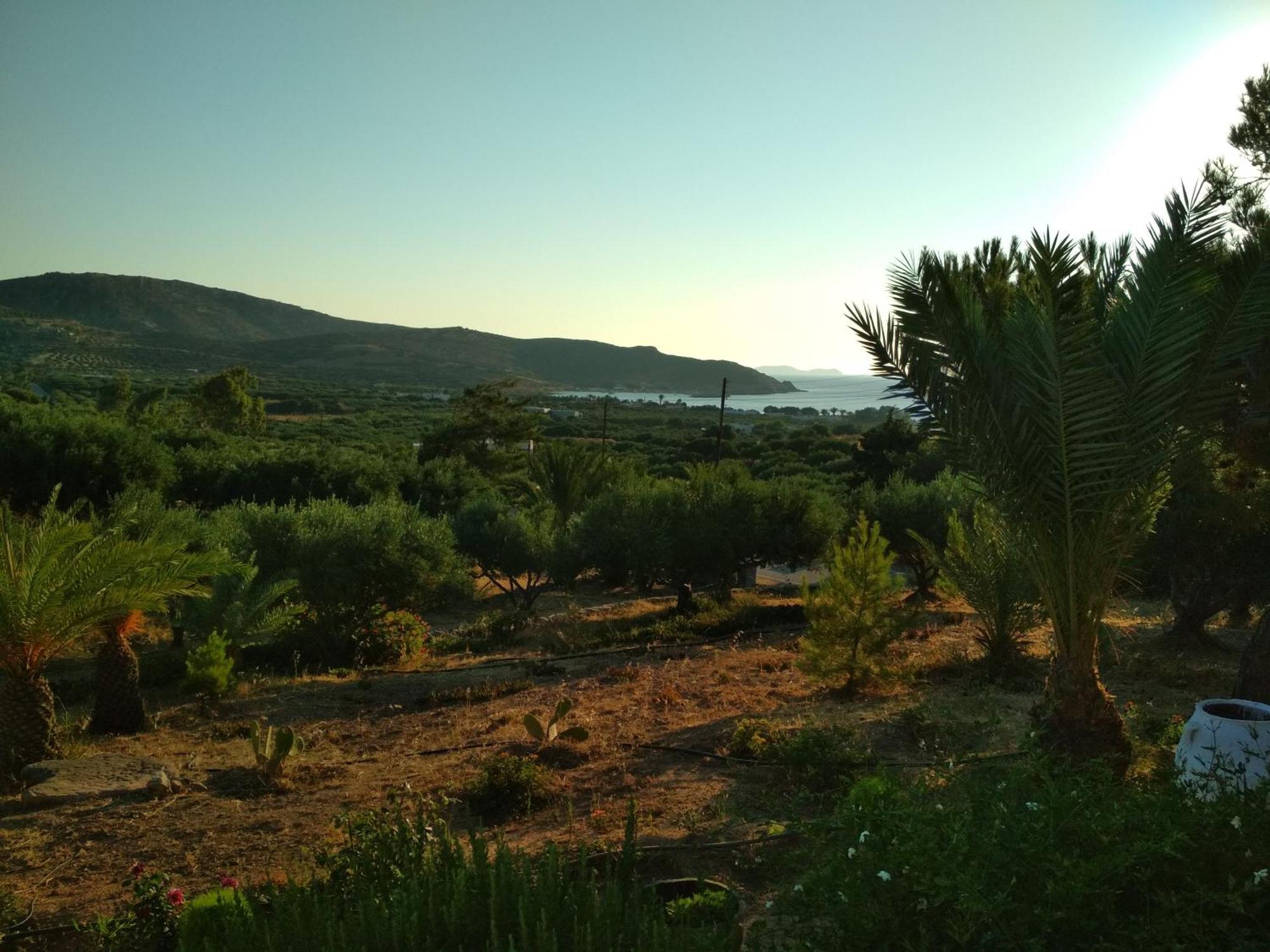 Porto Heli Apartments Palékastro Eksteriør bilde