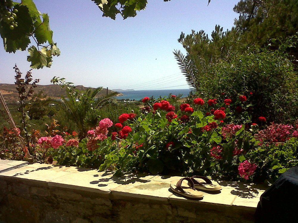 Porto Heli Apartments Palékastro Eksteriør bilde