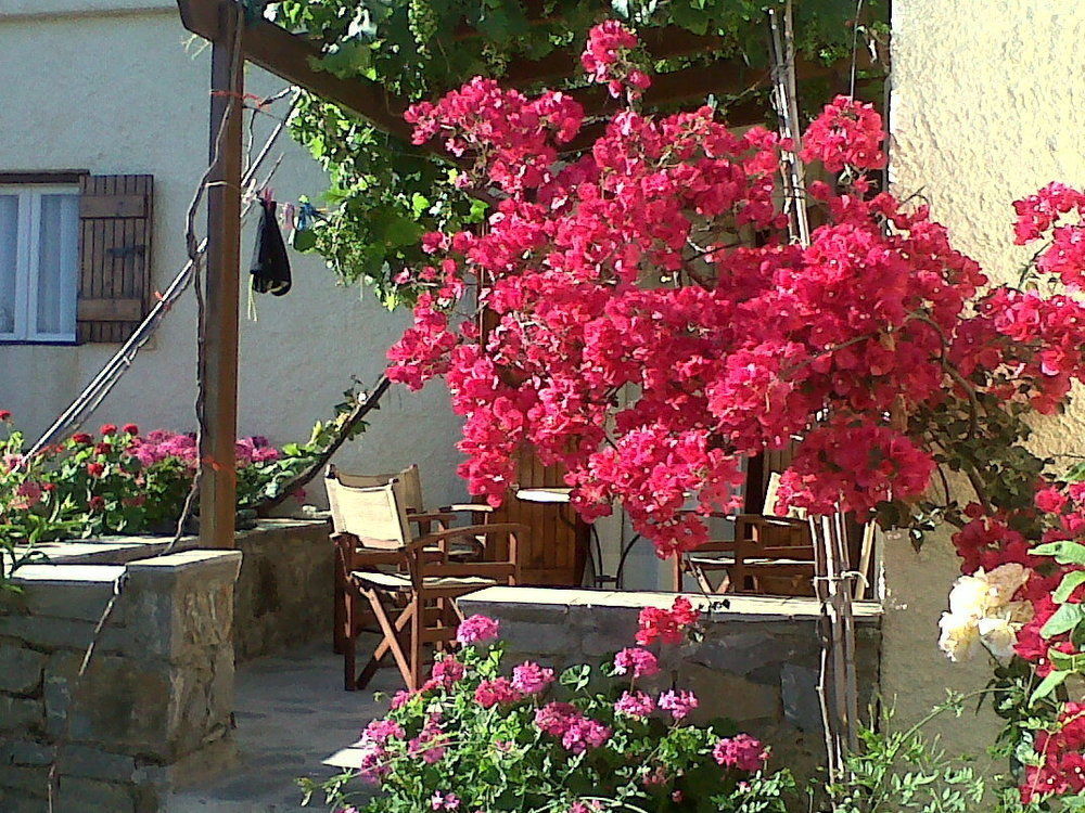 Porto Heli Apartments Palékastro Eksteriør bilde